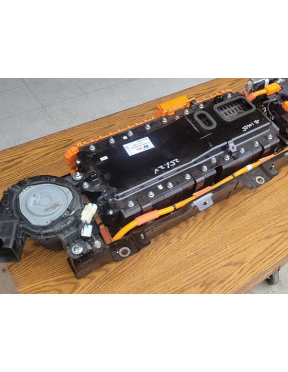 2020-2025 Hyundai Sonata/Kia Optima Hybrid Battery Assembly